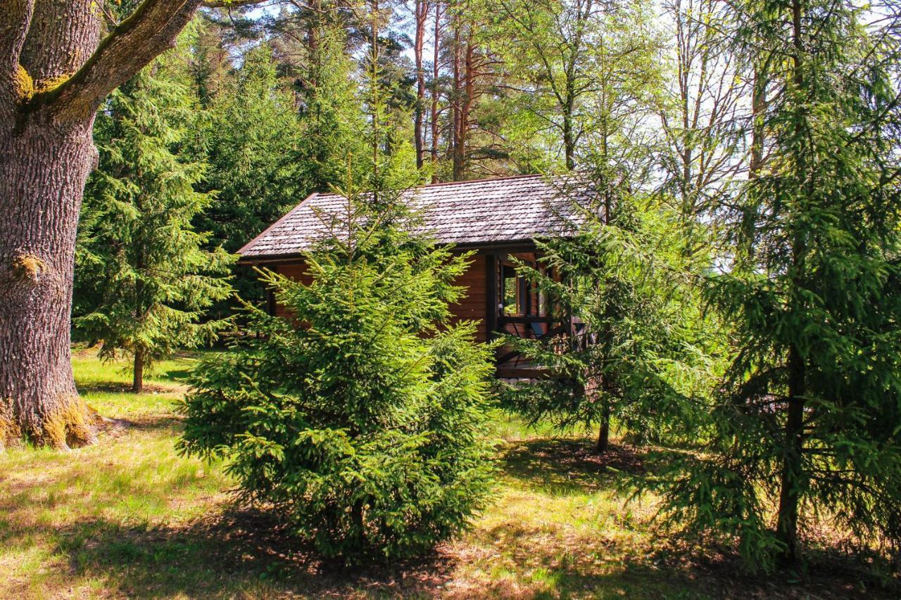 Kempings Lejasbisenieki Turaida Exterior foto